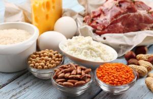 plant protein food list