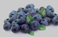 Recipes for preparing blueberries for the winter, how to freeze them in the freezer or grind them with sugar and preserve all the vitamins